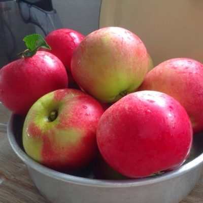 Æblekage