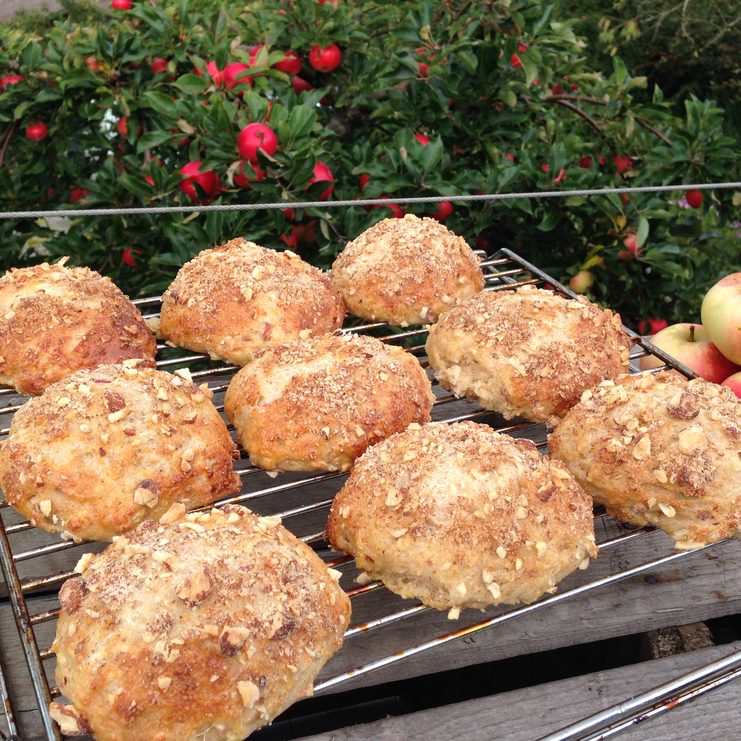 Æbleboller