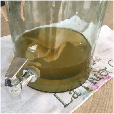 Kombucha
