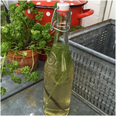 Kombucha med fennikel og vanilje