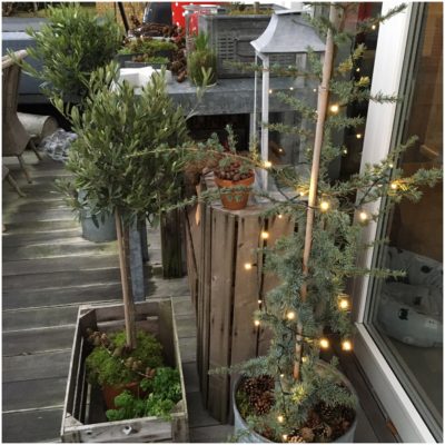 Julehygge udendørs