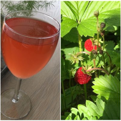 Kombucha med skovjordbær